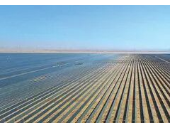 晶科、天合、協(xié)鑫領(lǐng)銜，近20家企業(yè)集結(jié)，中國光伏全產(chǎn)業(yè)鏈已布局中東！